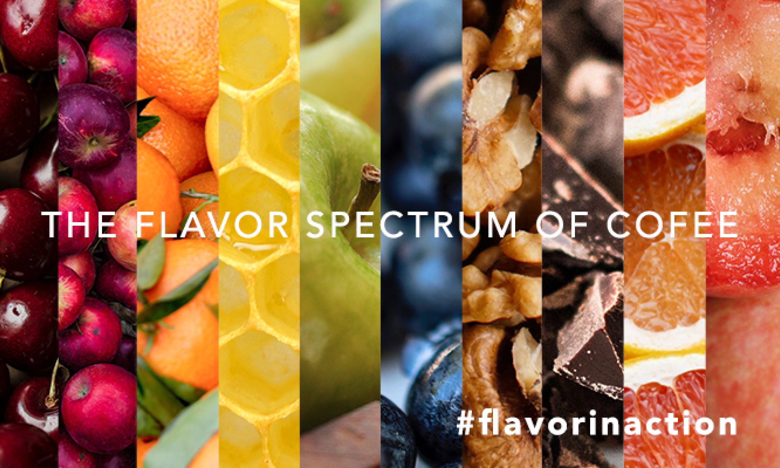 The Science of Flavor