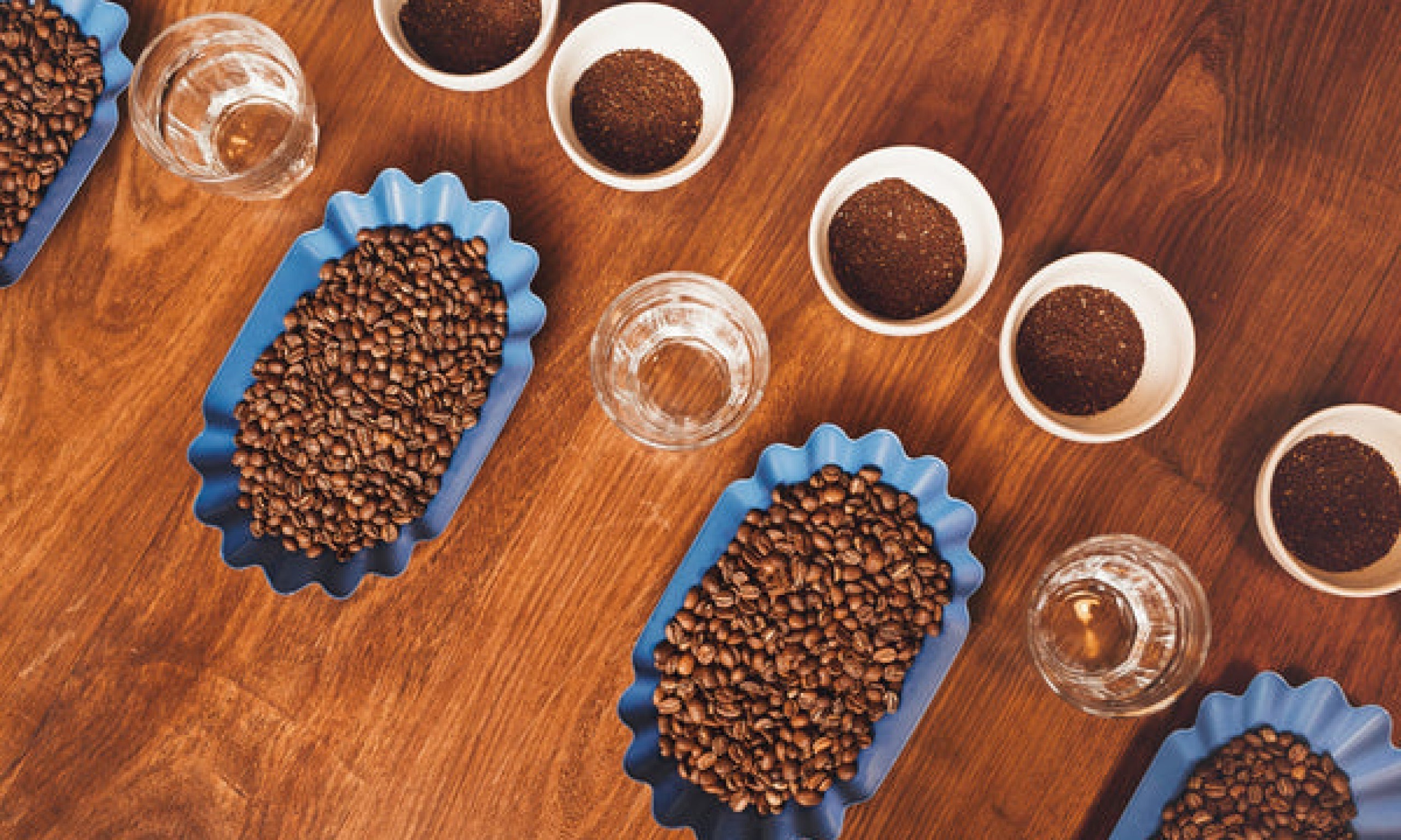 The Top 5 Single Origin Beans You’ve Never Heard Of