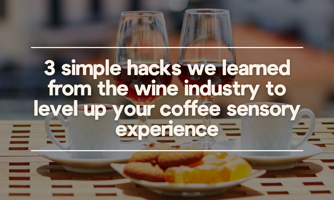 3 Simple Hacks We Learned from Wine Sommeliers that will Elevate Your Coffee Sensory Experience