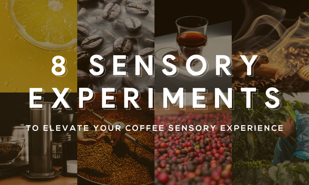 8 Sensory Experiments to Elevate Your Coffee Sensory Experience