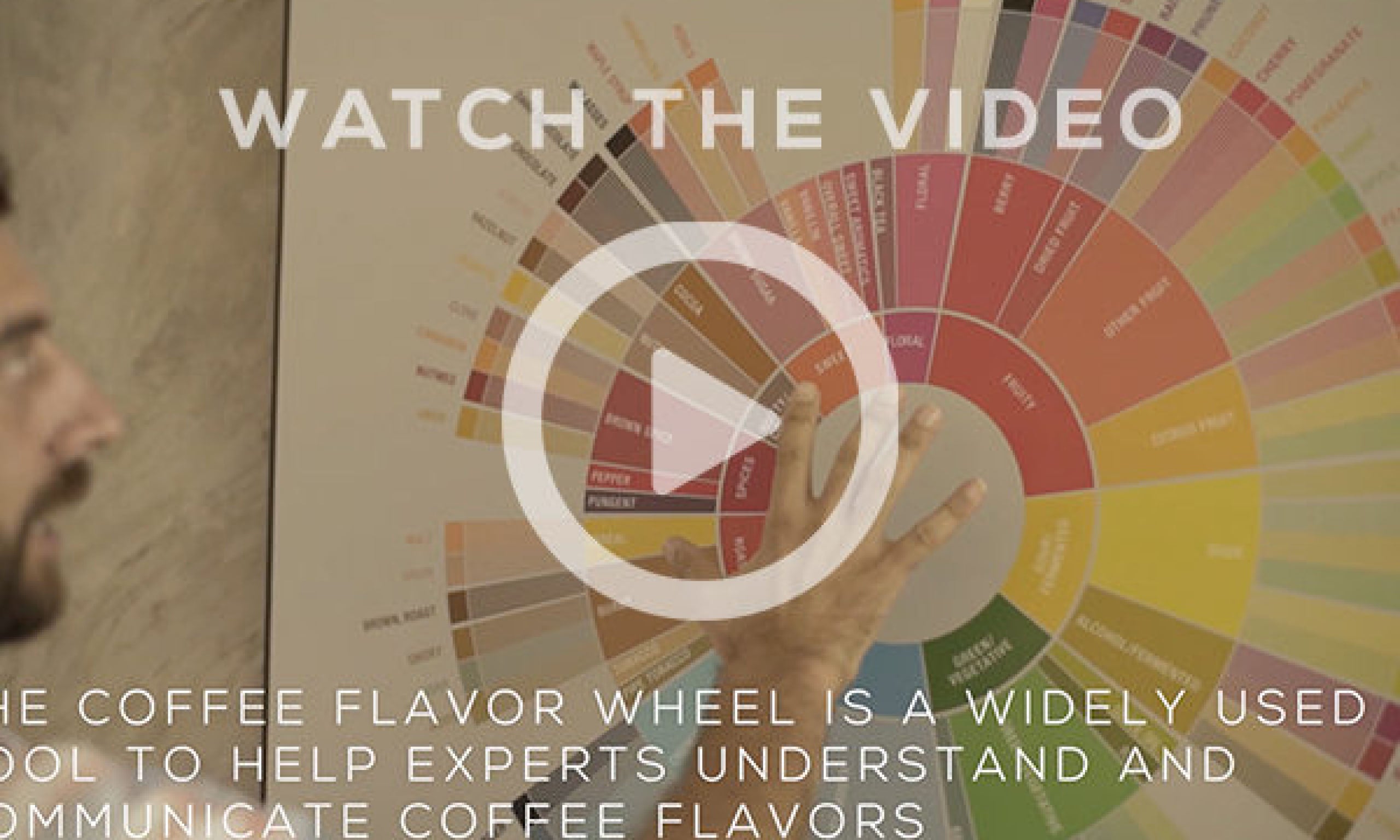 Where Do Coffee Flavors Come From?